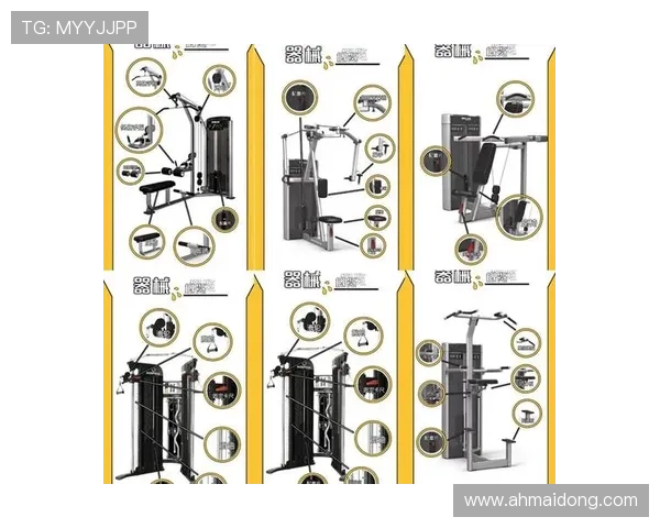 健身新趋势：科学饮食与高效训练相结合，助力塑形与增肌的全面指南