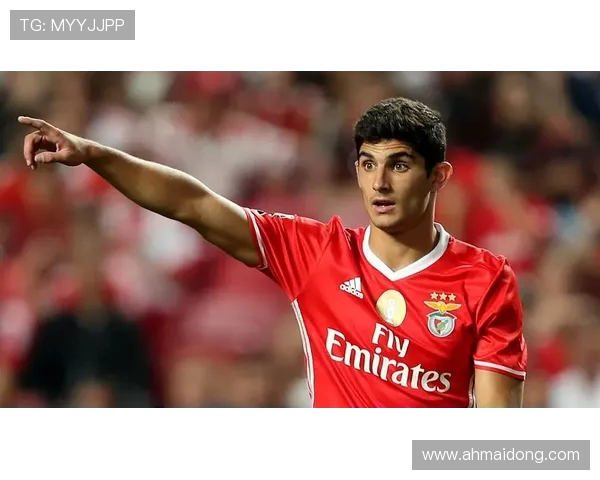 全球足球盛宴：盘点世界各大联赛新星与未来发展趋势