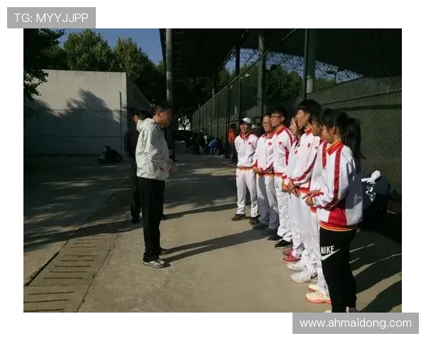 北京网球队个人能力深度剖析与发展潜力探讨 北京网球队个人能力深度剖析与发展潜力探讨