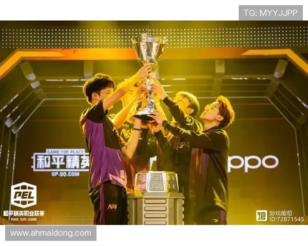 和平精英赛事分析：深入探讨BLG战队的战术节奏与表现