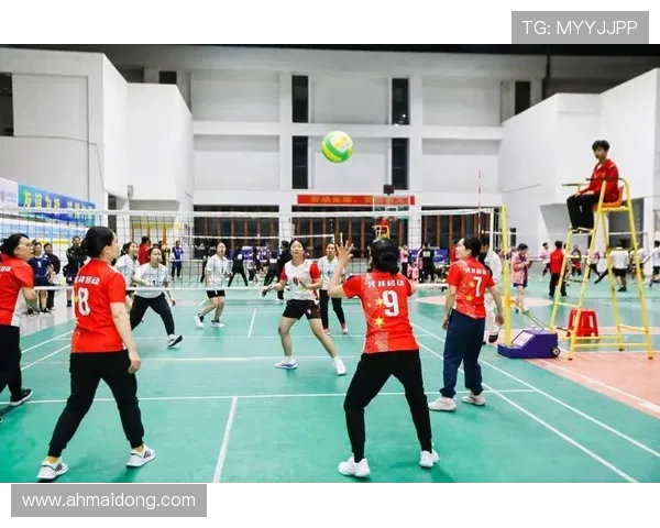 广州排球队团队协作新模式探讨与热议推动排球竞技水平提升