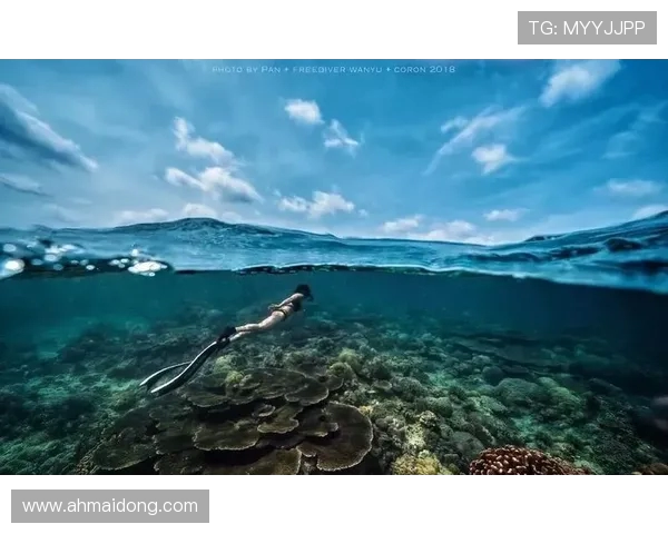 极限运动战术解析深圳极限运动队的防反体系与实战应用探讨