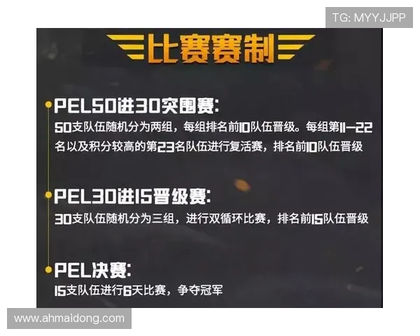 聚焦和平精英赛事JDG战队耐力与策略的深度探讨