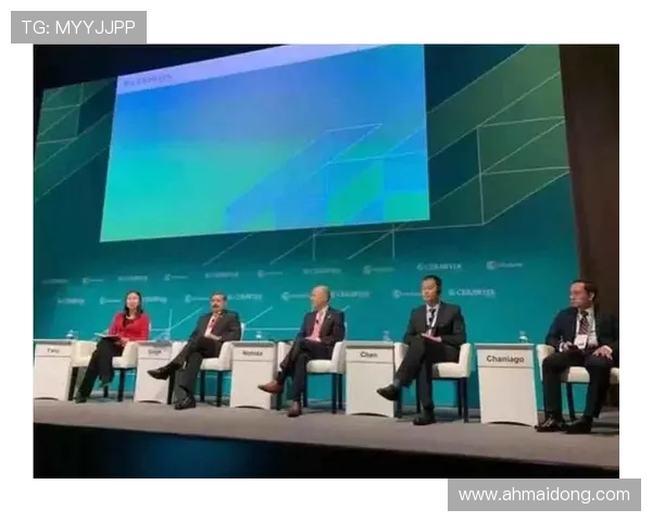 LNG战队崛起背后的秘密与挑战 赛场上的拼搏与未来展望