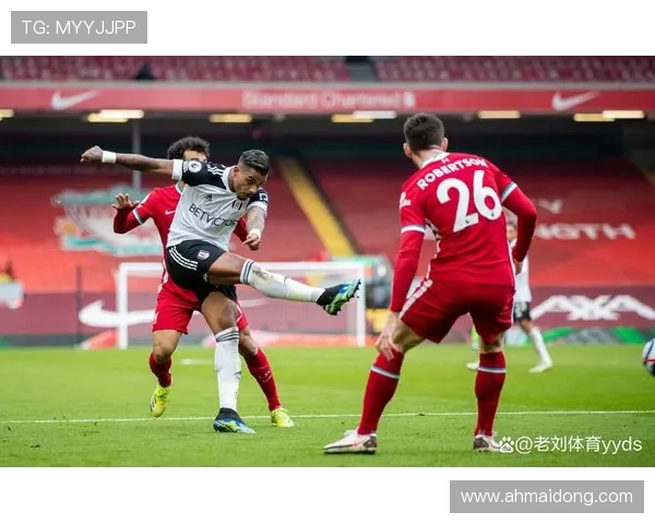 世界杯：从历史到未来的荣耀之路，见证全球足球盛宴的激烈对决与文化碰撞