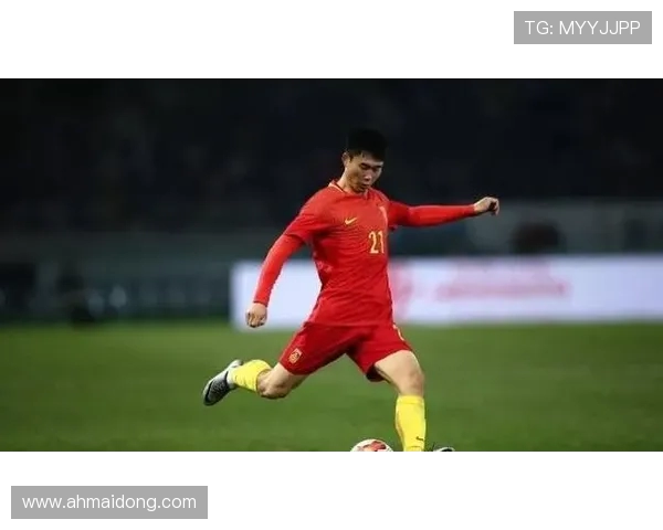 张琳芃从青年才俊到国家队主力的成长历程与足球事业发展分析