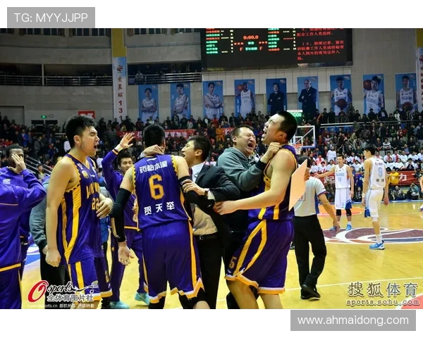 2014至2015赛季辽宁队与北京队的精彩对决回顾与分析