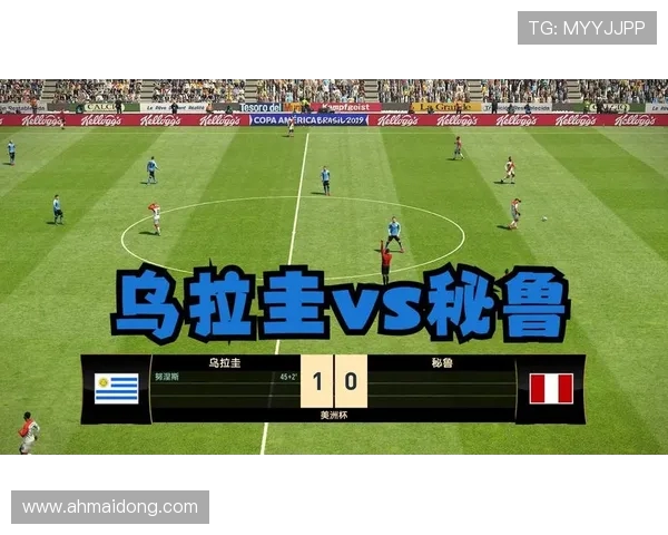 乌拉圭与秘鲁精彩对决回放分析及比赛亮点总结